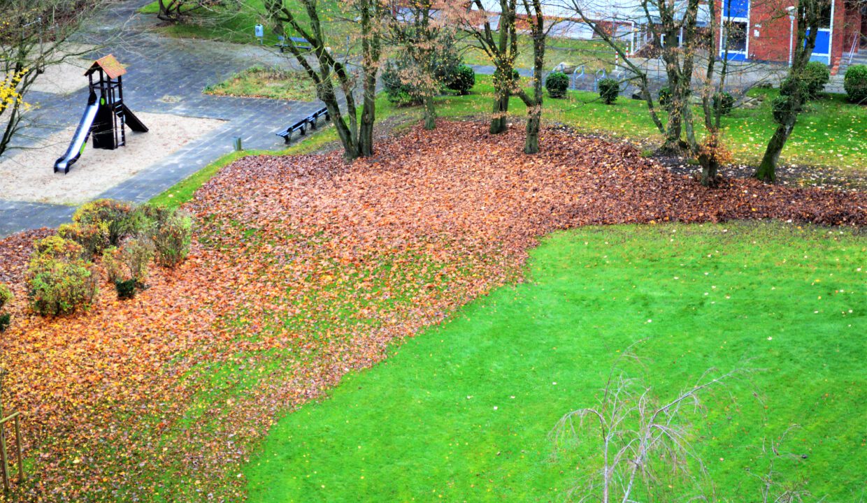 Garten/Kinderspielplatz